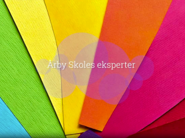 Årby Skoles eksperter